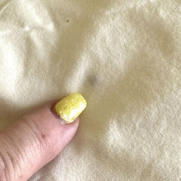 Pottery Barn Teen Emily & Meritt The Scallop TWIN Duvet Cover + Sham - Read - Picture 3 of 15